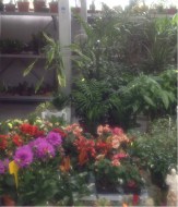 piante_interno_vm